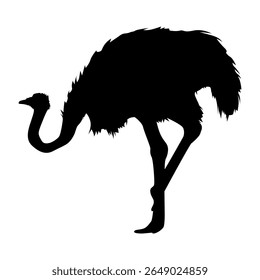 Dynamic Black and White Ostrich Bird Vector Art for Digital and Print Media, Clean Isolated Design