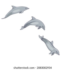 Dynamic of Bottlenose dolphin due jumping in Cartoon design style, steps of jumping of grey oceanic dolphin on white isolated background for prints, patterns, icons for social media, apps and websites