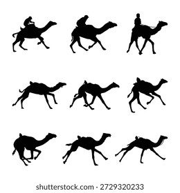 Dynamic Camel and Rider Silhouettes in Various Poses Set
