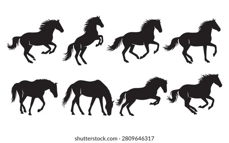 Dynamic collection of equine forms in motion and repose ideal for branding editorial or design projects.