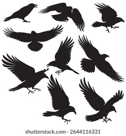 Uma coleção dinâmica de ilustração de silhueta corvo mostrando várias poses perfeitas para o design temático da natureza selvagem. Fundo, Clipart, design de embalagem etc