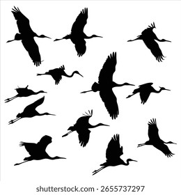 Composición dinámica de grúas silueteadas que se elevan elegantemente contra un fondo blanco prístino Una exploración de la vida silvestre
