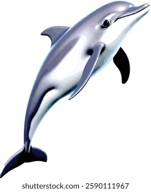 Dynamic Dolphin: A Leap of Grace