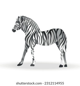
Dynamic Elegance in Vector: A Striking Monochrome Portrait of a Zebra, Evoking the Serene Beauty of the African Savanna on a Clean White Background