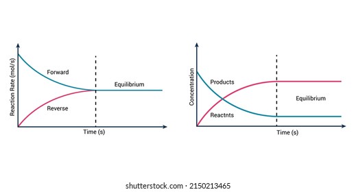 dynamic equilibrium chemistry graph vector illustration