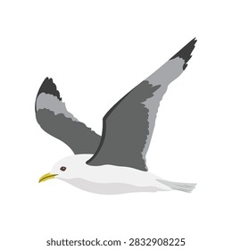 A dynamic flat cartoon simple realistic vector illustration depicting a beautiful kittiwake seabird flying actively with open wings, isolated on a clean background from a dynamic perspective.