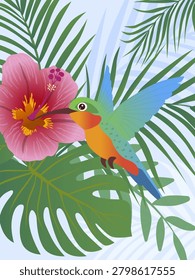 Dynamic flat vector illustration of a colorful little hummingbird flying and drinking nectar from a large pink hibiscus blossom among rich green jungle leaves. Vector illustration