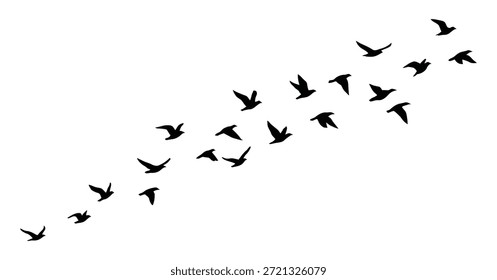 Bandada dinámica de siluetas de pájaros en vuelo contra el fondo transparente