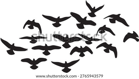 A dynamic flock of birds in silhouette soaring through the air, perfect for nature or freedom themes.