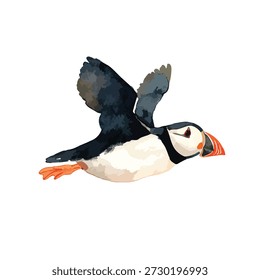 Dynamic flying Puffin bird illustration with watercolor texture. Ideal wildlife design element for nature projects, travel, or educational content.