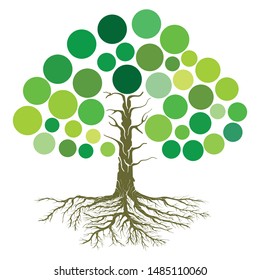 Dynamic green abstract minimalist tree, dominant root vector