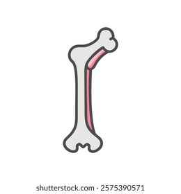 Dynamic Icon of Humerus Anatomy Illustration