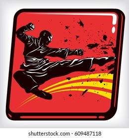 Dynamic icon of martial arts fighter