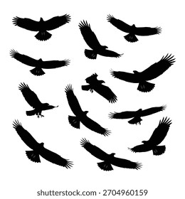 Ilustração dinâmica de várias silhuetas de pássaros em voo, simbolizando a liberdade, o movimento e a unidade de um rebanho. Elemento isolado de design gráfico vetorial.