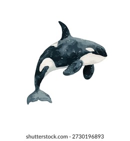 Ilustração de baleia assassina dinâmica, perfeita para projetos de vida marinha, conteúdo educacional e projetos de conservação do oceano. Isolado no branco.