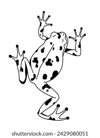 A dynamic leaping spotted frog, vector illustration in lineart style, isolated on white