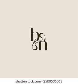 dynamic line monogram logo luxurious concept BN elegant wedding letter