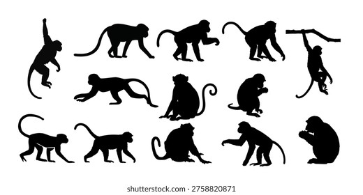 Dynamic monkey silhouette set showing climbing, sitting and playful actions, perfect for jungle, kids, wildlife and creative designs.