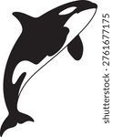 Dynamic orca whale leaping silhouette. Black and white marine predator graphic. Ocean mammal jumping vector design.