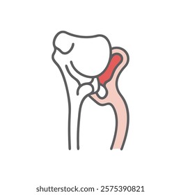 Dynamic Overview of Femoral Neck Anatomy Illustration