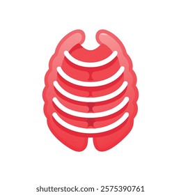 Dynamic Overview of Floating Ribs Anatomy