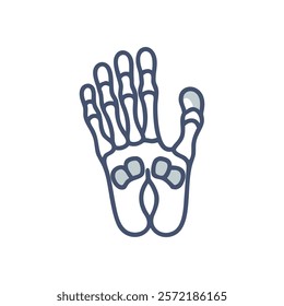 Dynamic Overview of Foot Phalanges Anatomy