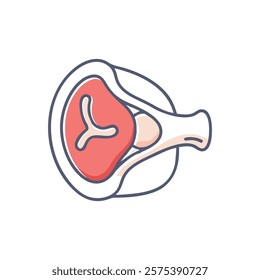 Dynamic Overview of Glenoid Cavity Anatomy