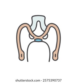 Dynamic Overview of Glenoid Cavity Anatomy