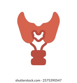 Dynamic Overview of Hyoid Anatomy Illustration