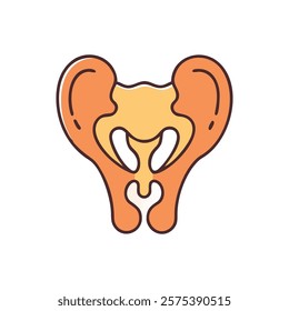 Dynamic Overview of Ilium Anatomy