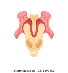 Dynamic Overview of Infraspinous Fossa Anatomy