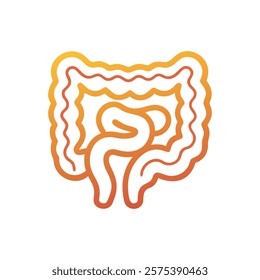 Dynamic Overview of Intestine Anatomy