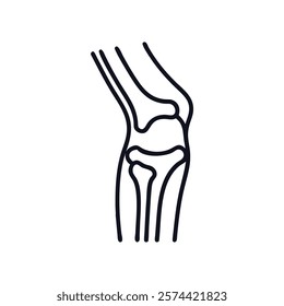 Dynamic Overview of Knee Joint Anatomy