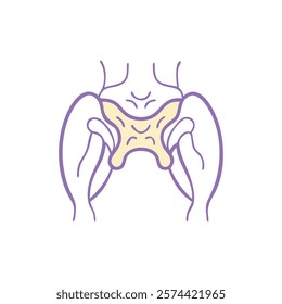 Dynamic Overview of Lesser Sciatic Notch Anatomy