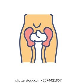 Dynamic Overview of Lesser Trochanter Anatomy