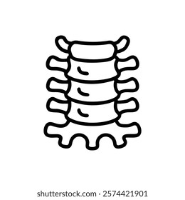 Dynamic Overview of Lumbar Vertebrae Anatomy