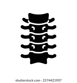 Dynamic Overview of Lumbar Vertebrae Anatomy