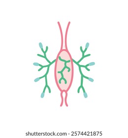 Dynamic Overview of Lymph Node Anatomy Illustration