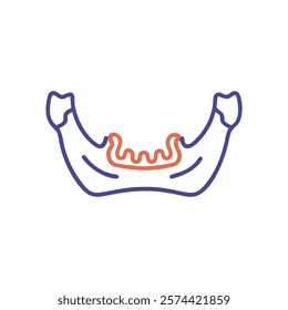 Dynamic Overview of Mandible Anatomy