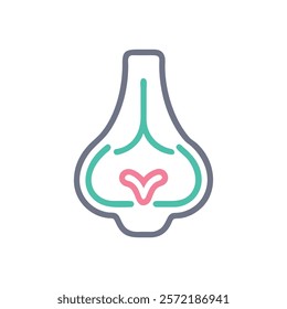 Dynamic Overview of Olfactory Bulb Anatomy