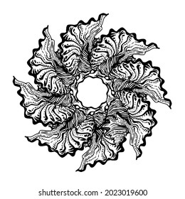 Dynamic seashell wreath in black and white ink graphics isolated on white. Amazing ornamental wavy cockleshell for logo, design element, print, postcards. Vector illustration. 