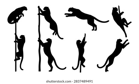 A dynamic series of images showcasing various acrobats performing on ropes, in mid-air, and executing flips and balances in a circus setting.