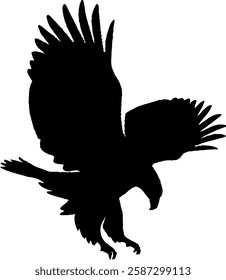 Dynamic Silhouette of Eagle in Flight