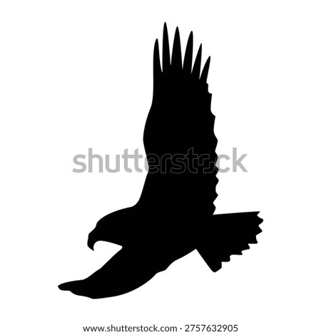 Dynamic silhouette of a majestic eagle in powerful flight, embodying strength, freedom, and an iconic nature concept