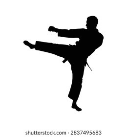 Dynamic silhouette of a martial artist executing a high kick, showcasing strength, agility, and discipline in a powerful pose.