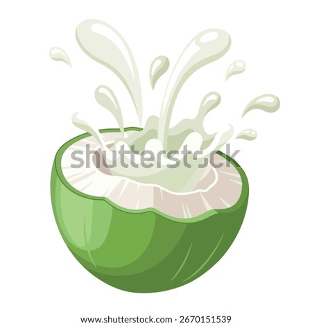 A dynamic and simple cartoon vector illustration of a halved green coconut with a big splash of white coconut milk bursting outwards. Coconut element for design World Coconut Day