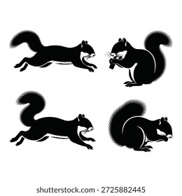 Siluetas dinámicas de la ardilla aisladas en el fondo blanco, Vector