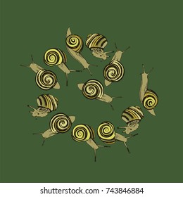 
dynamic, striped snail