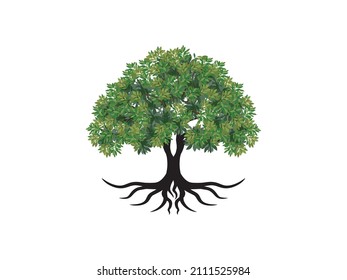 dynamic tree logo design with roots. realistic tree model in balance shape.