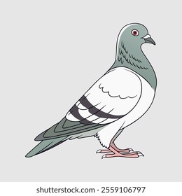 A dynamic vector art illustration of a racing pigeon in motion, showcasing sleek lines and detailed wings, ideal for competitive racing themes and creative design projects.